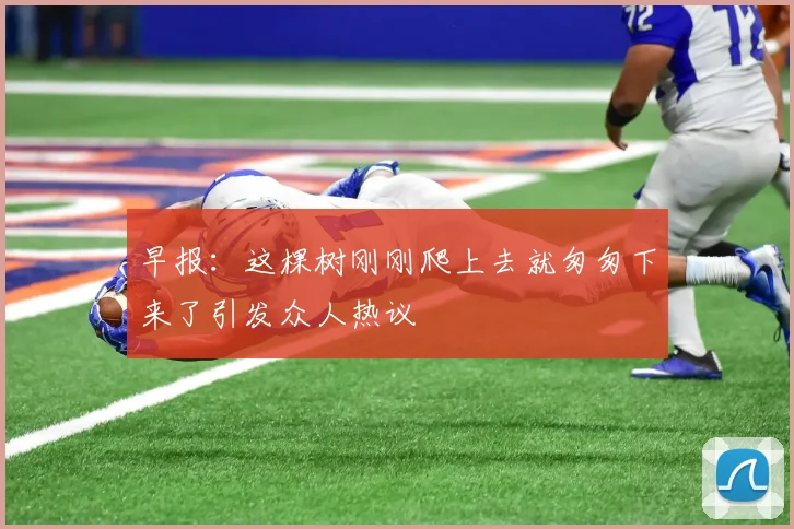 早报：这棵树刚刚爬上去就匆匆下来了引发众人热议