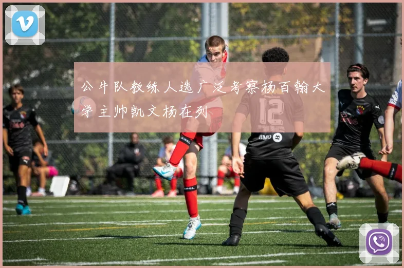 公牛队教练人选广泛考察杨百翰大学主帅凯文杨在列